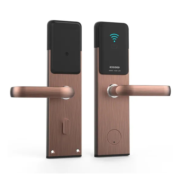 Functie van Home Electronic Electric Tuya App Wifi Smart Lock